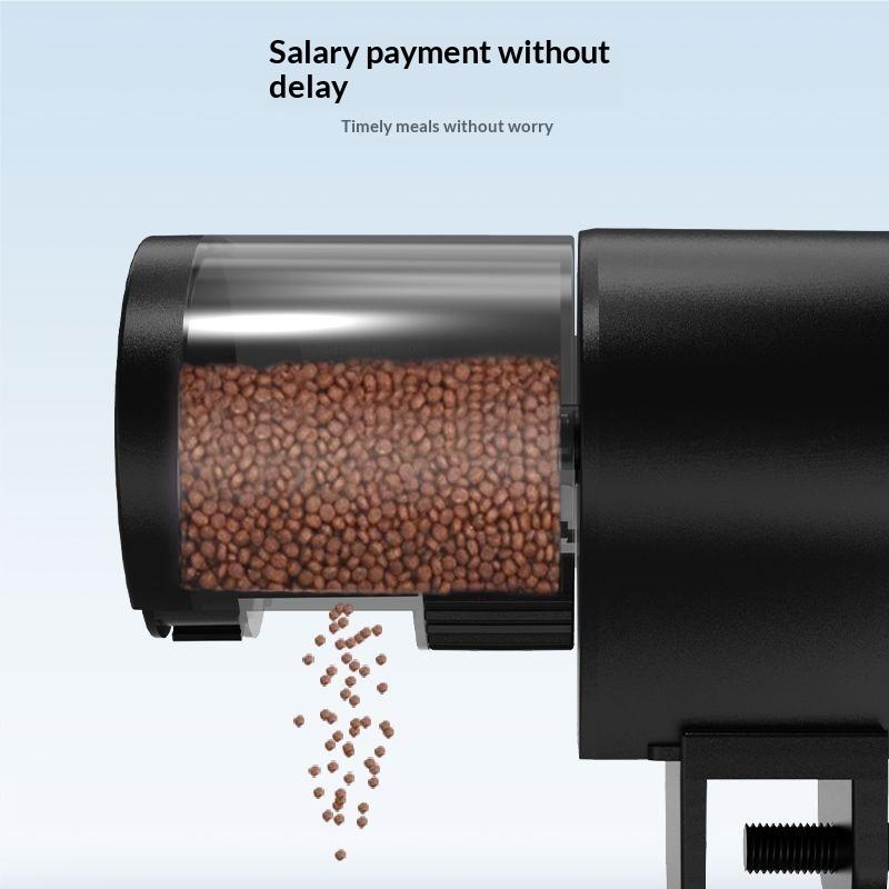 Automatic Fish Feeder With Tim - Fishing Line Dispenser 리뷰 및 가격