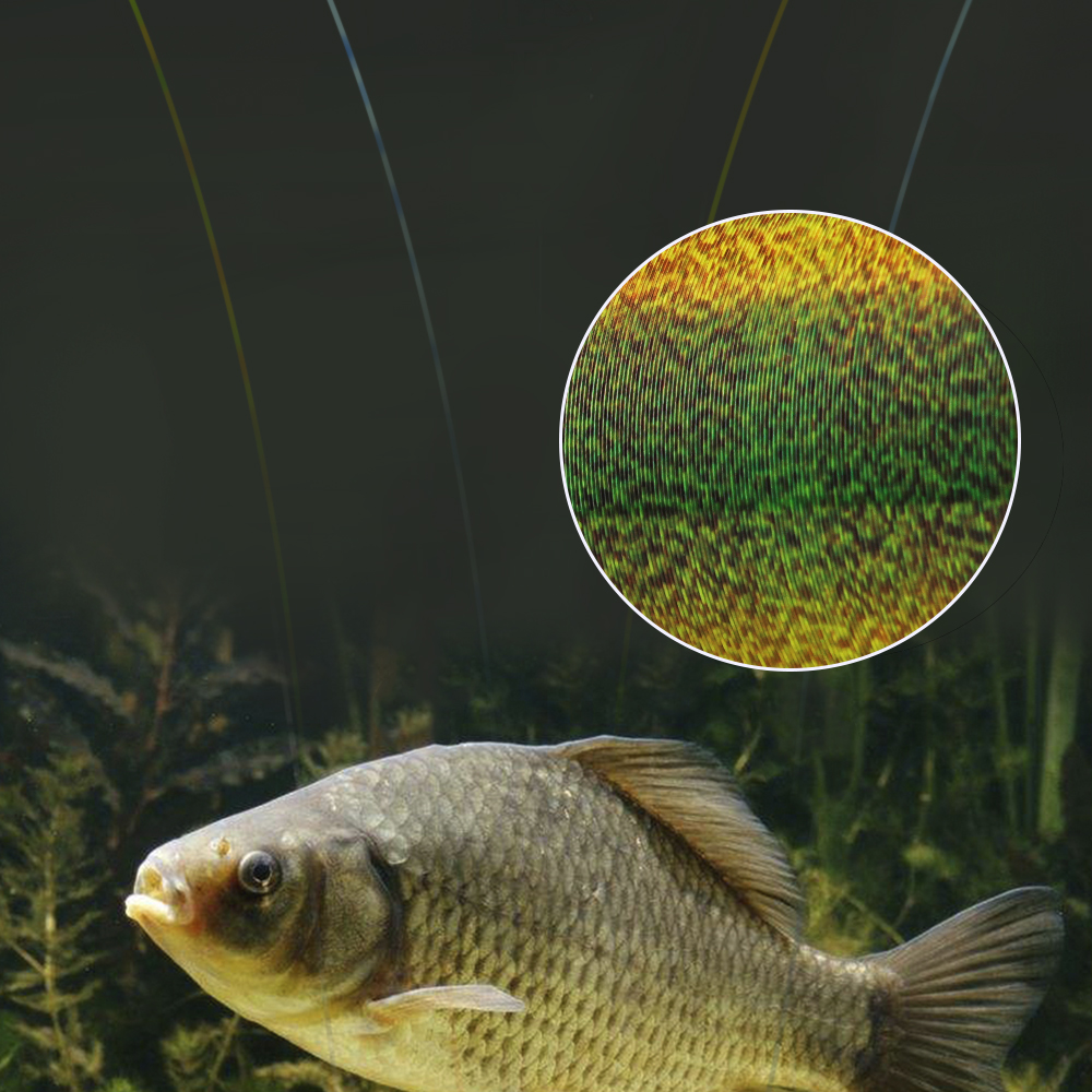 FTK 300M Invisible Fishing Lin - Fluorocarbon Line 리뷰 및 가격